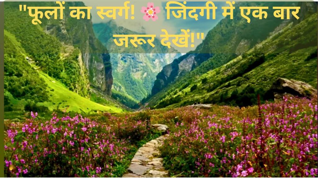 Valley of Flowers: जहाँ फूलों की चादर बिछी है, वहाँ पहुँचकर आप भी कहेंगे - 'ये जन्नत है!